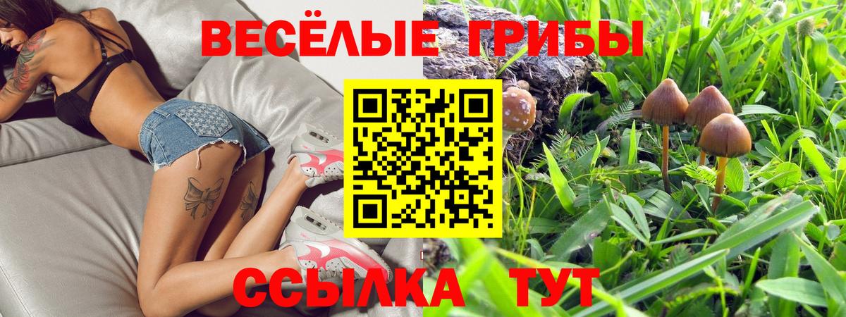 Галлюциногенные грибы Psilocybe  Вход с VPN  наркотики  Сегежа 