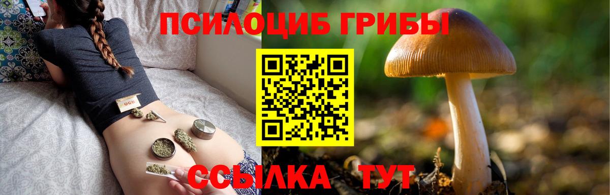 Галлюциногенные грибы мухоморы Сегежа